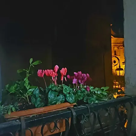 Rimembranza Appartamento, Ананьи